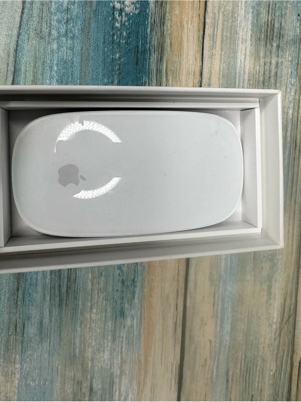 Apple Mouse (Not a phone accessory)